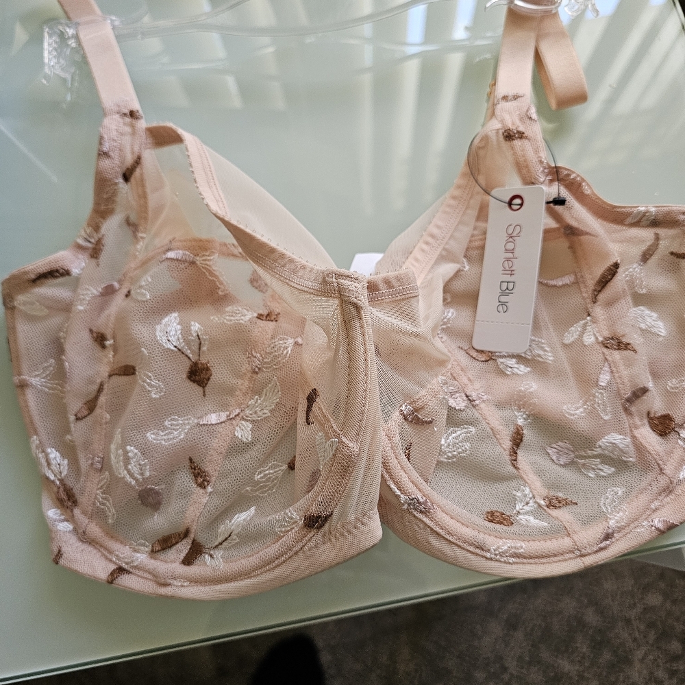 Women's Sheer Embroidered Nude Bra